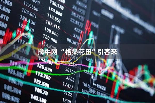 擒牛网 “格桑花田”引客来