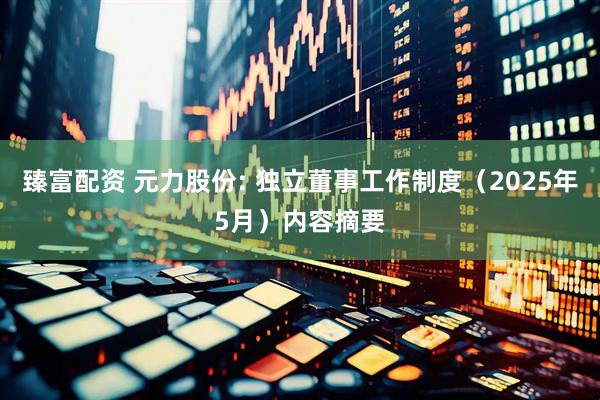 臻富配资 元力股份: 独立董事工作制度（2025年5月）内容摘要