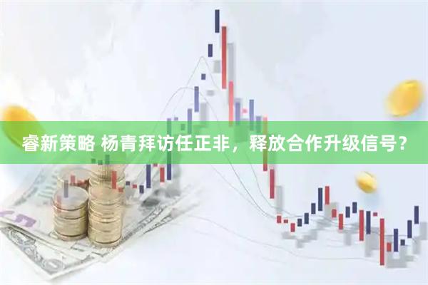 睿新策略 杨青拜访任正非，释放合作升级信号？