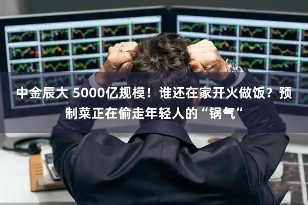 中金辰大 5000亿规模！谁还在家开火做饭？预制菜正在偷走年轻人的“锅气”