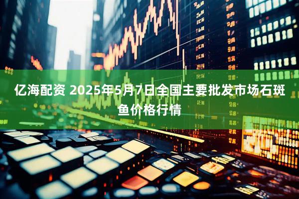 亿海配资 2025年5月7日全国主要批发市场石斑鱼价格行情