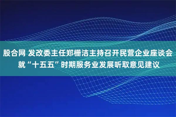 股合网 发改委主任郑栅洁主持召开民营企业座谈会 就“十五五”时期服务业发展听取意见建议