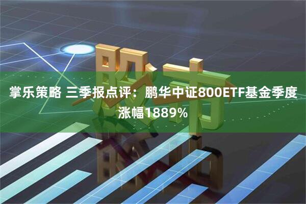 掌乐策略 三季报点评:鹏华中证800ETF基金季度涨幅1889%
