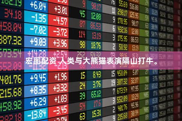 宏图配资 人类与大熊猫表演隔山打牛。