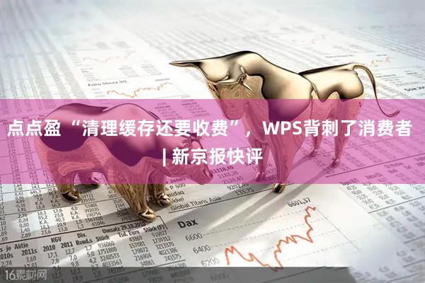点点盈 “清理缓存还要收费”，WPS背刺了消费者 | 新京报快评